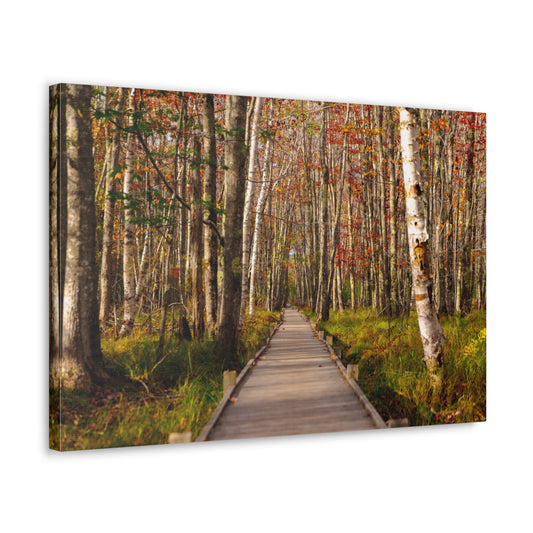 Autumn Walks-Canvas Gallery Wraps