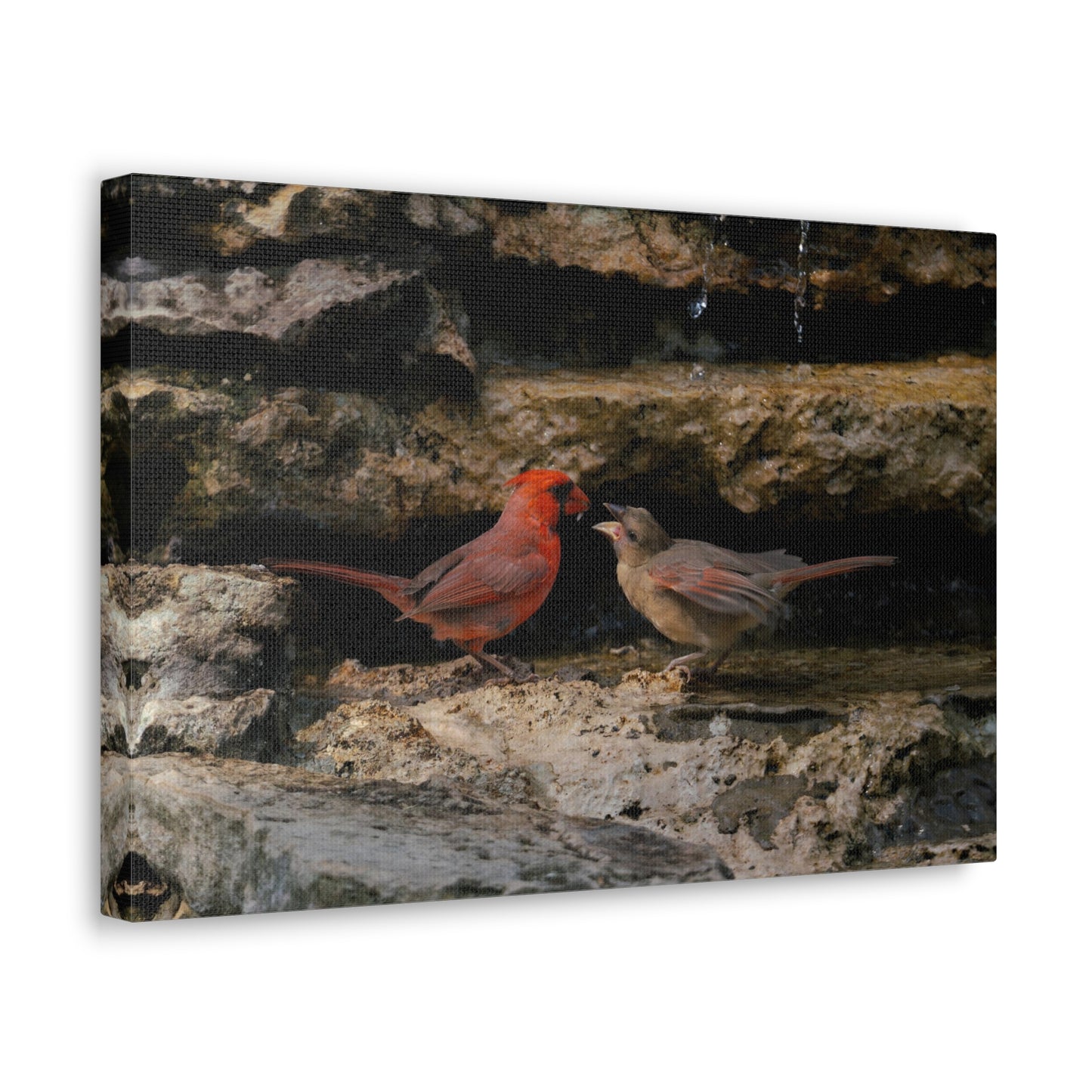 The Cardinal Gift-Canvas Gallery Wraps