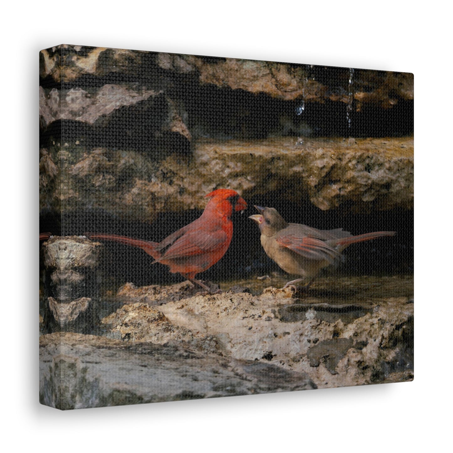 The Cardinal Gift-Canvas Gallery Wraps