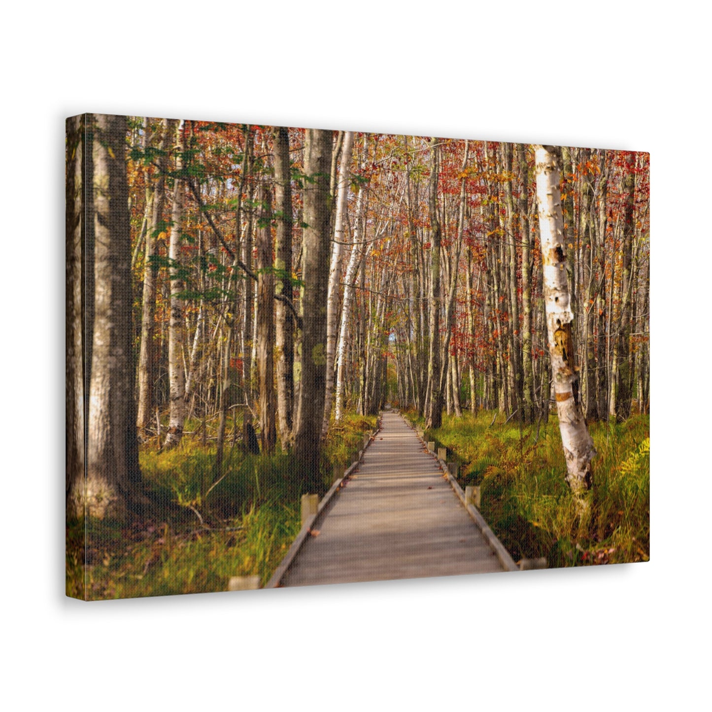 Autumn Walks-Canvas Gallery Wraps