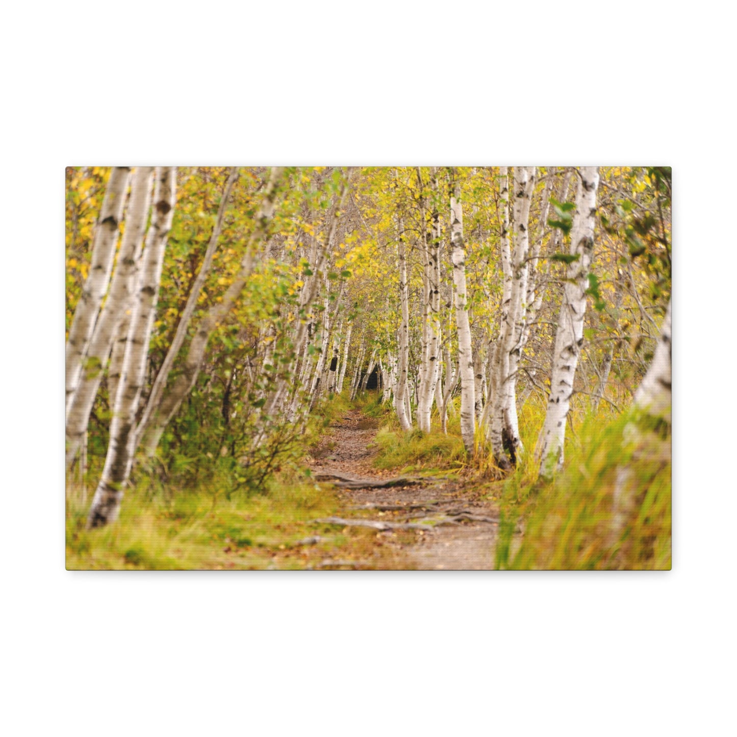 The Changing Path-Canvas Gallery Wraps
