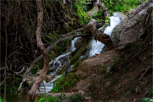 Waterfall through the Trees