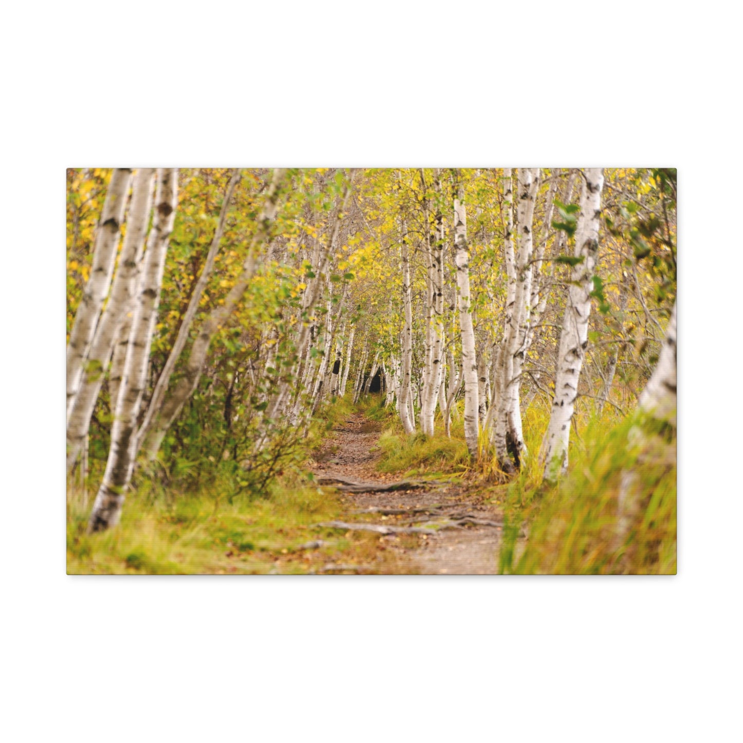 The Changing Path-Canvas Gallery Wraps
