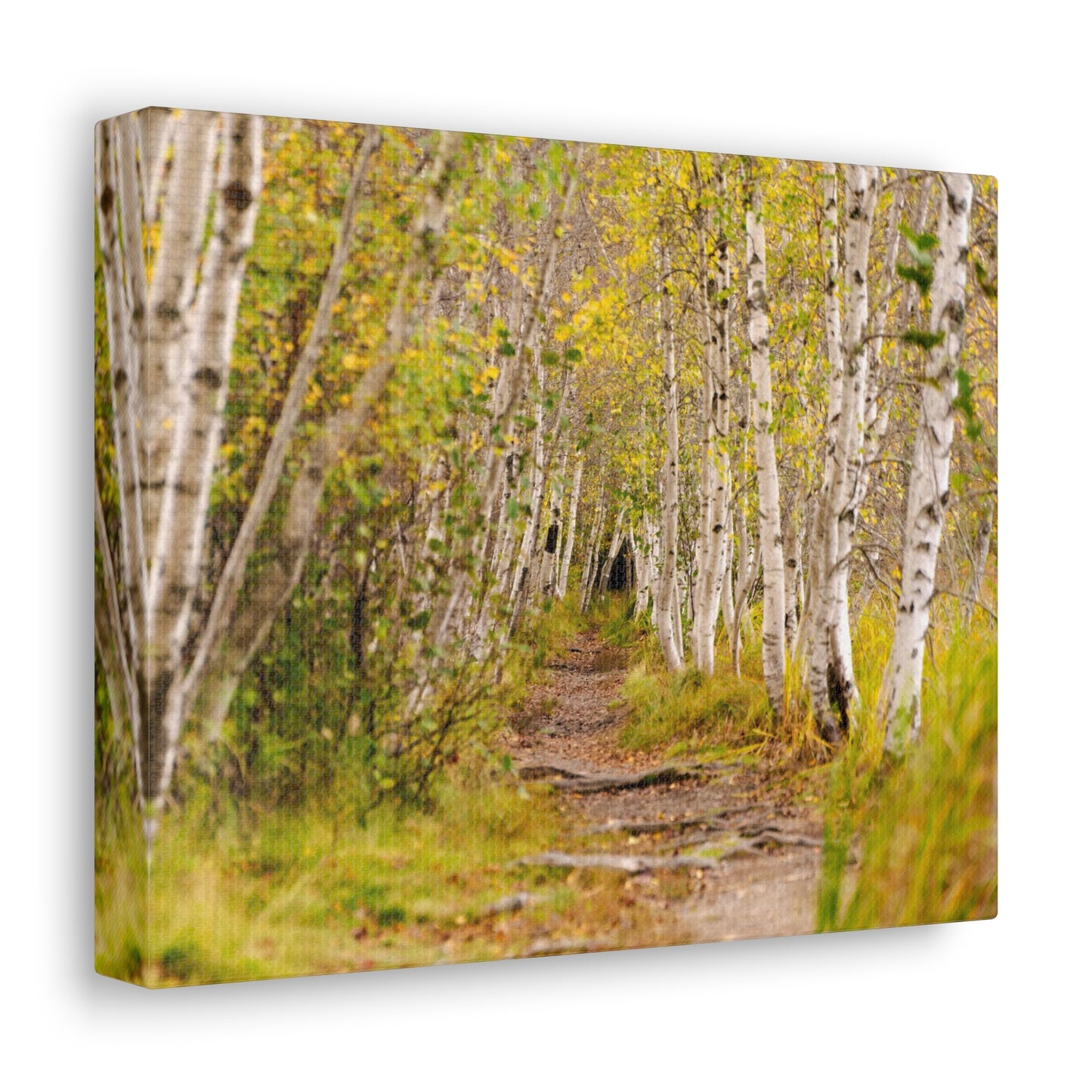 The Changing Path-Canvas Gallery Wraps