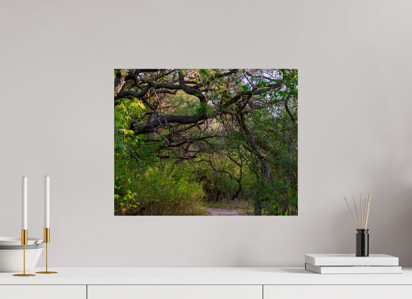 The Path Less Traveled