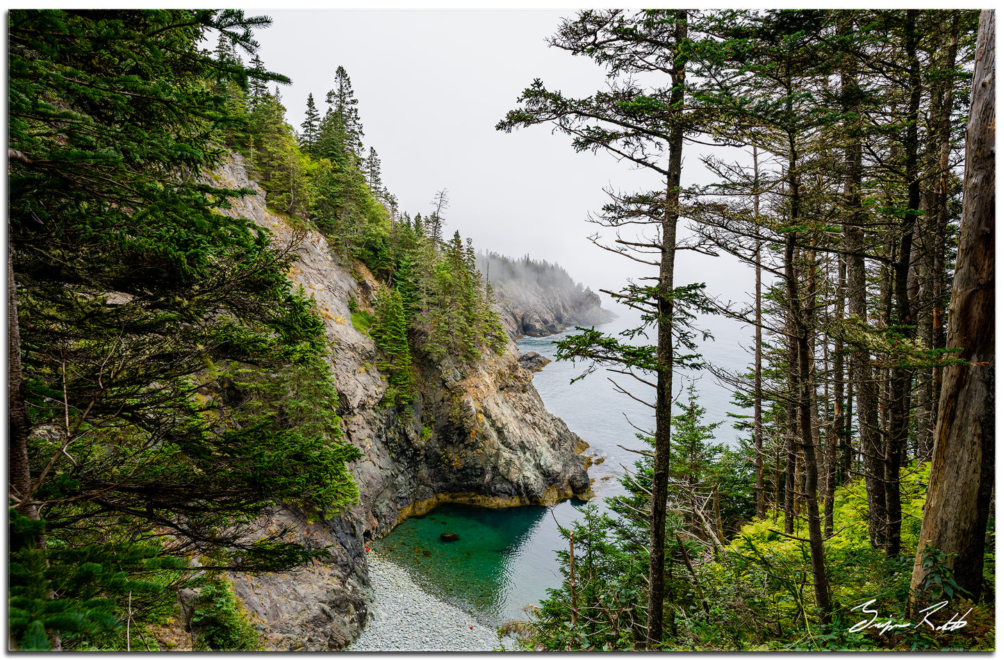 Bold Cliffs of Maine