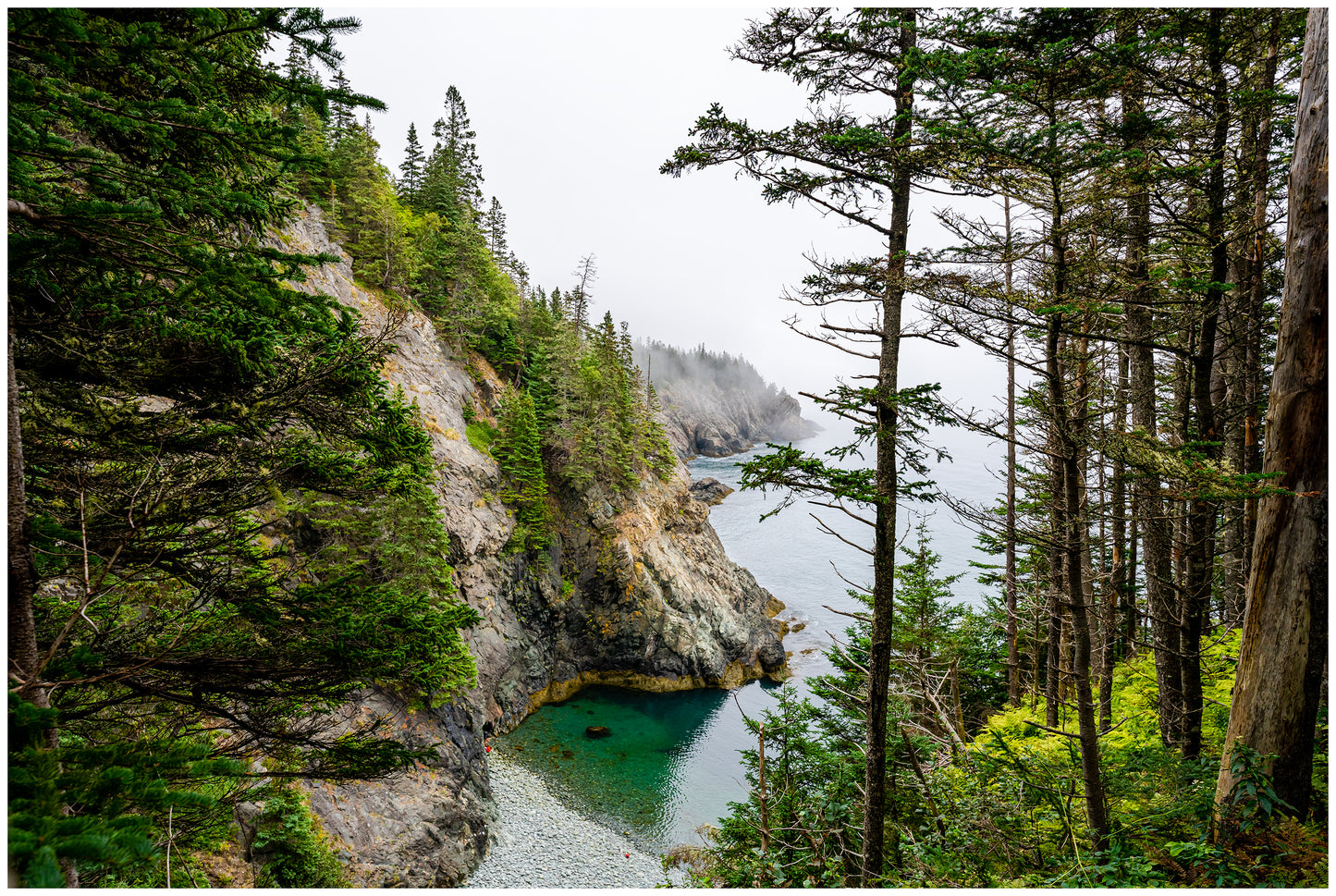 Acadia National Park 4-day Workshop Oct 10th-13th 2025
