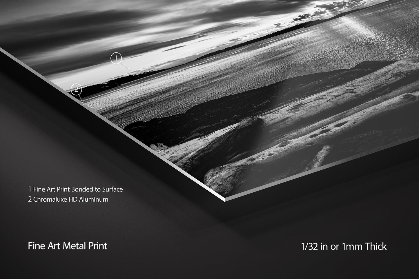 Driftwood and Sunrise