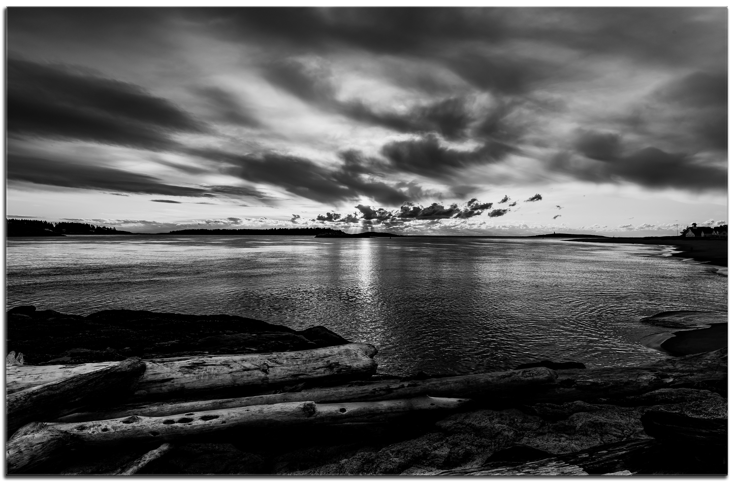 Driftwood and Sunrise