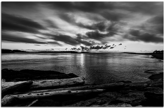 Driftwood and Sunrise