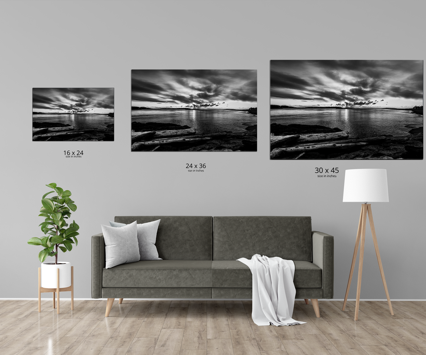 Driftwood and Sunrise