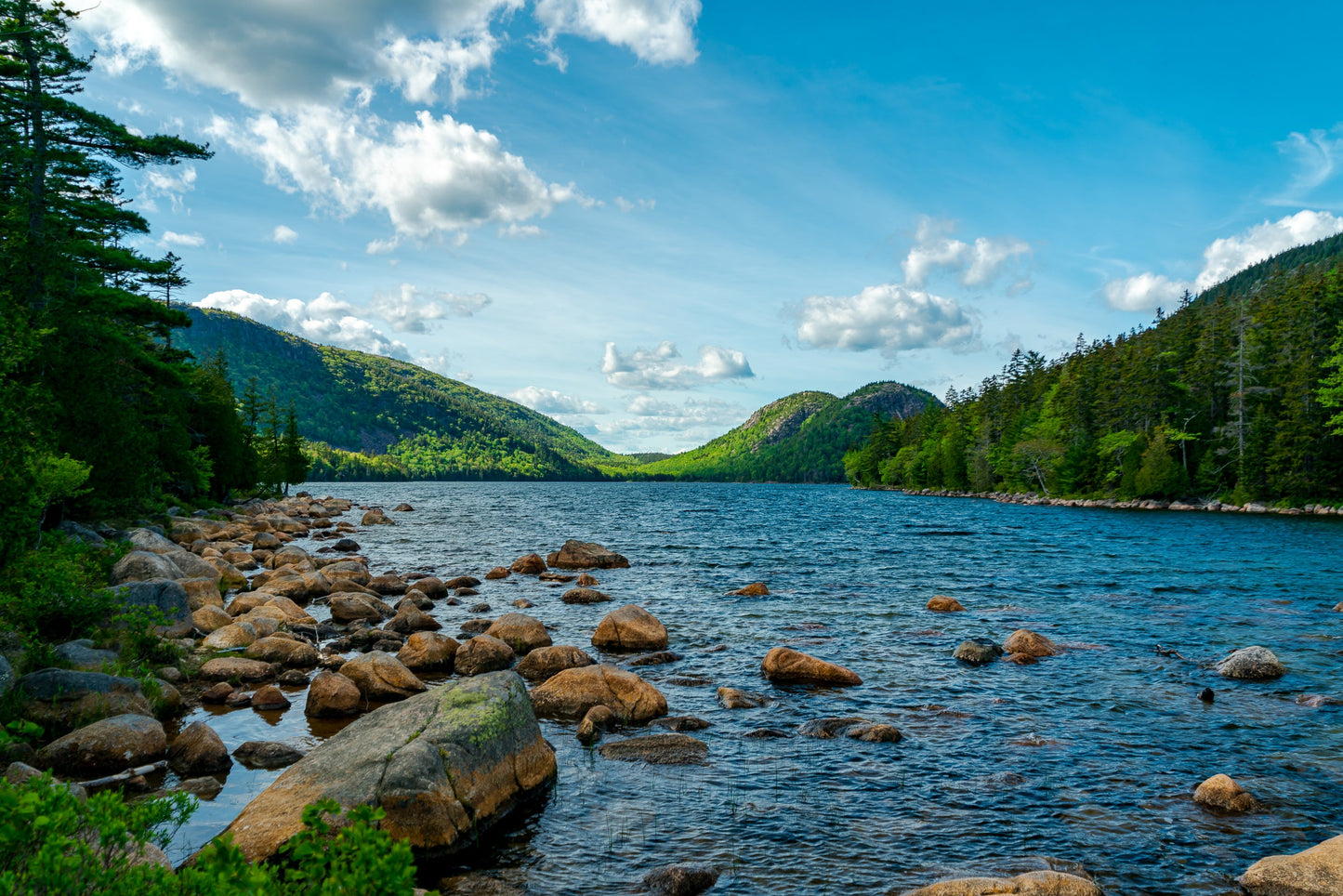 Acadia National Park 4-day Workshop Oct 3rd-6th 2024