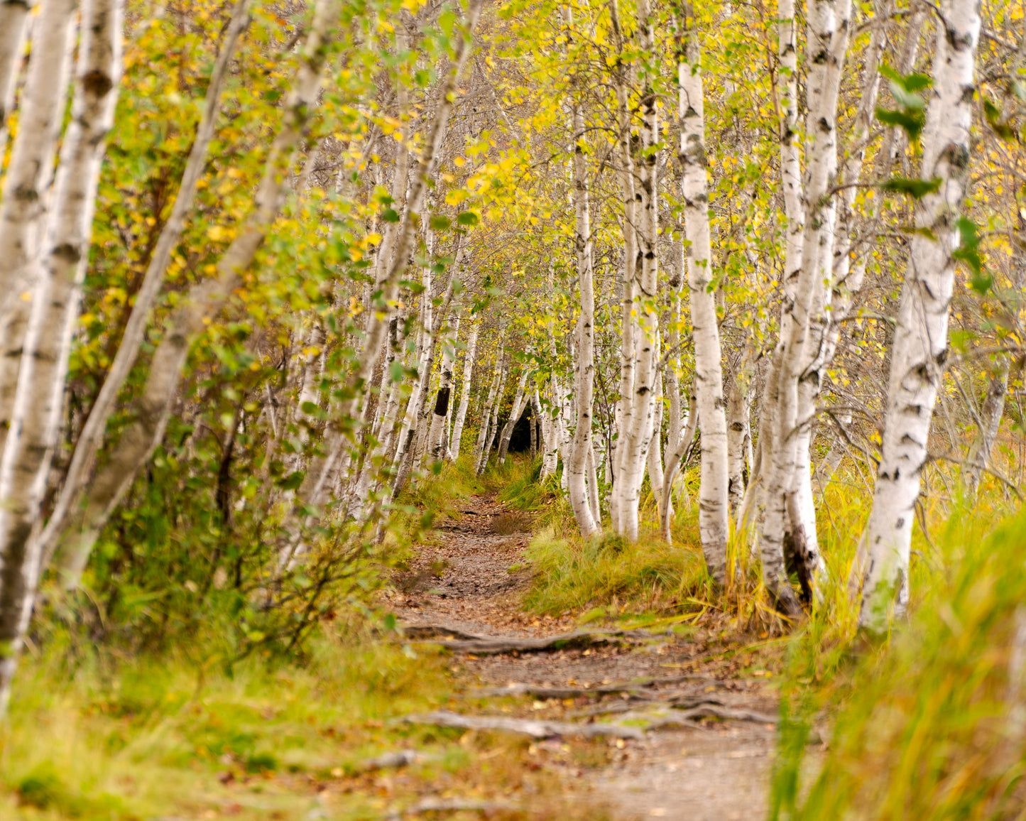 Acadia National Park 4-day Workshop Oct 3rd-6th 2024