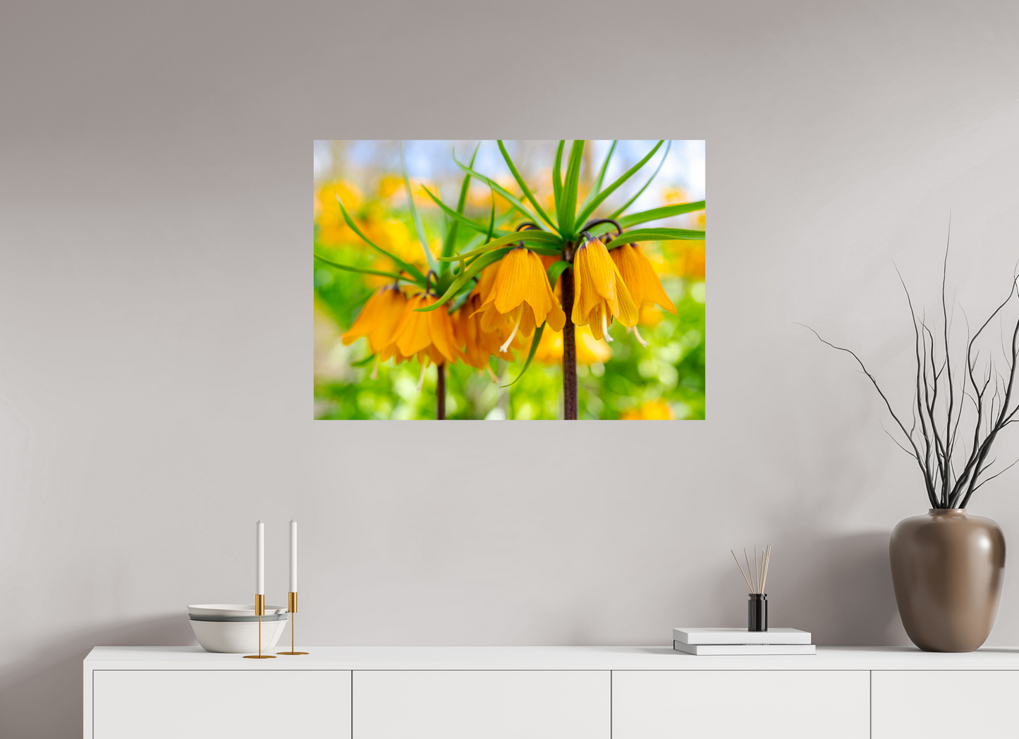 The Oranje Crown Imperial