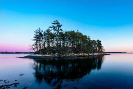 Wolfe's Neck Sanctuary