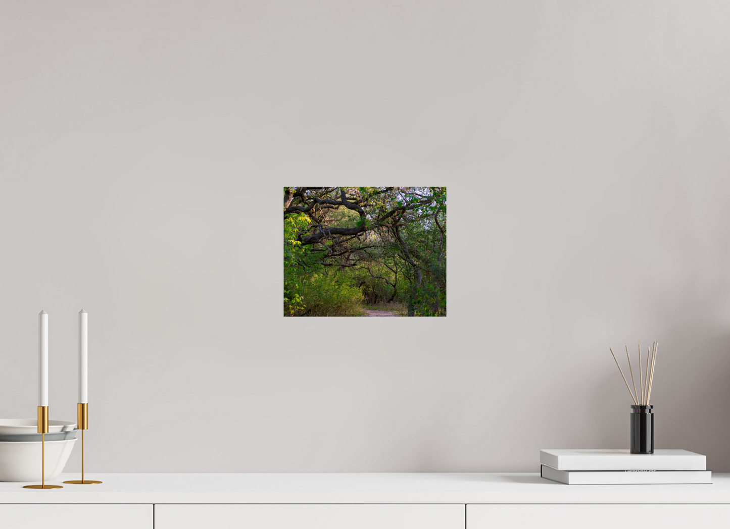 The Path Less Traveled