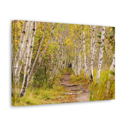 The Changing Path-Canvas Gallery Wraps