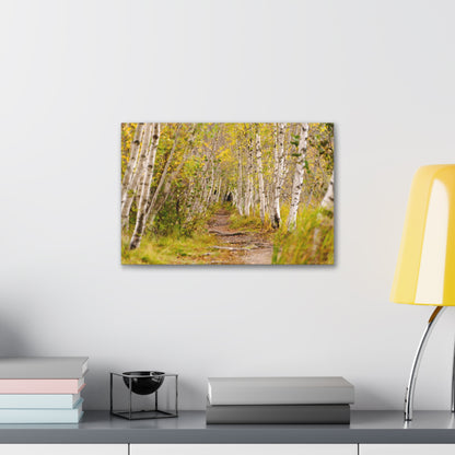 The Changing Path-Canvas Gallery Wraps