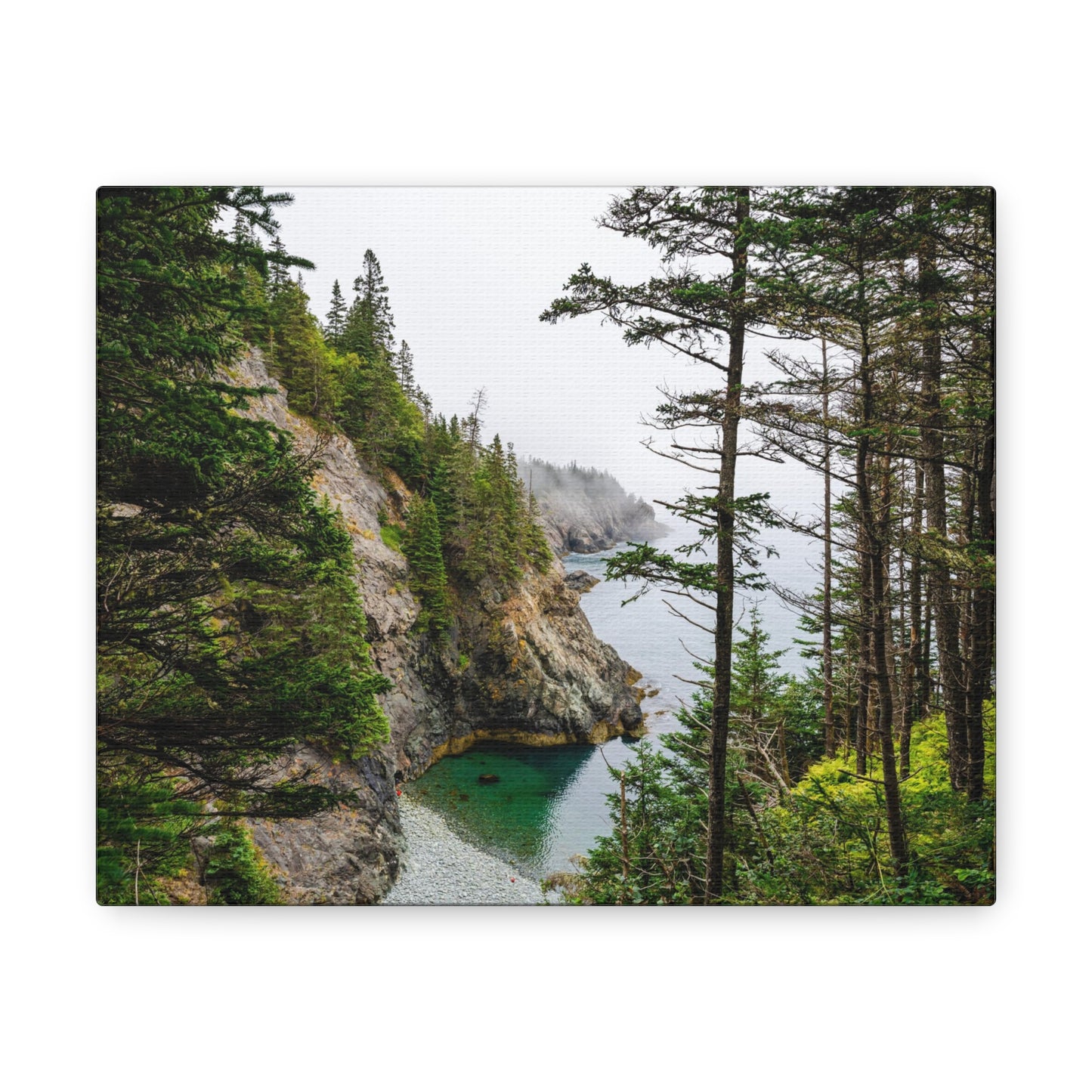 Bold Cliffs of Maine Canvas Gallery Wraps